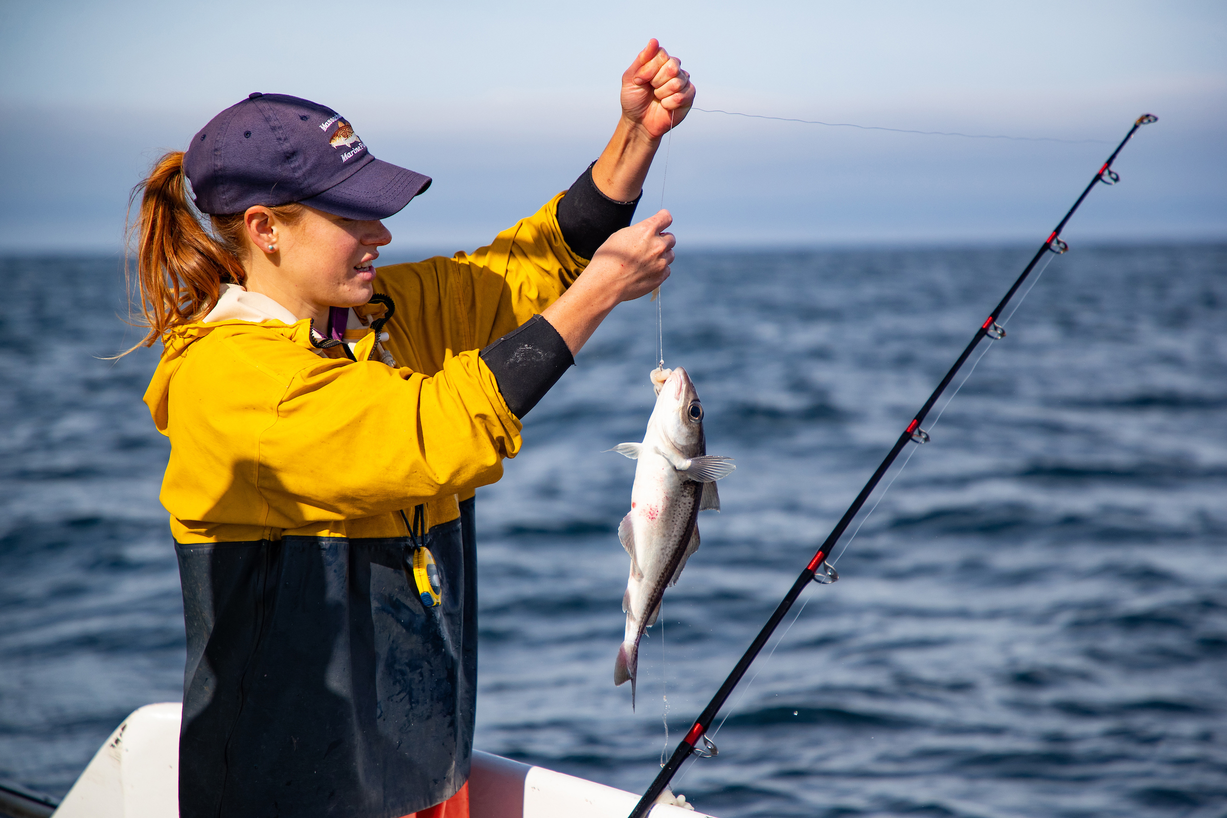 DMF News 1st and 2nd Quarters 2019 Mass.gov